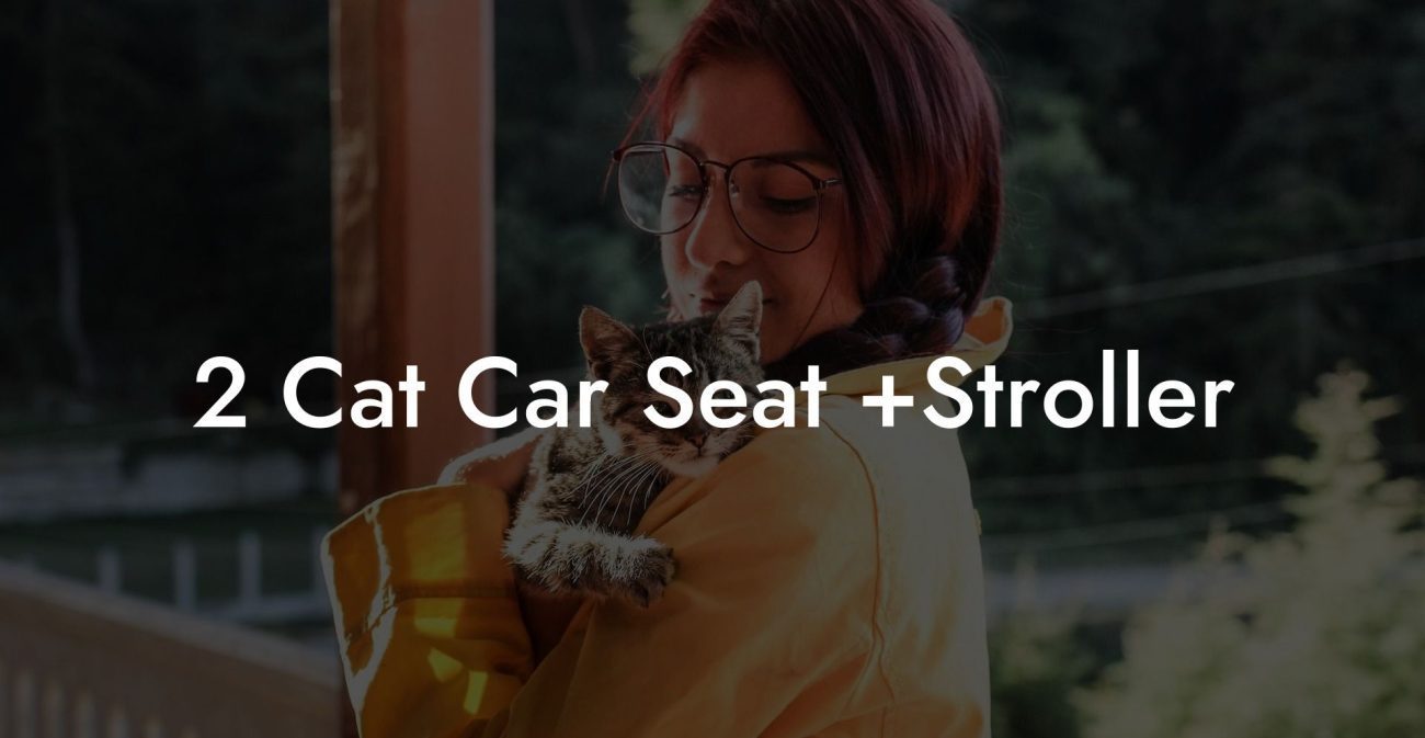 2 Cat Car Seat +Stroller