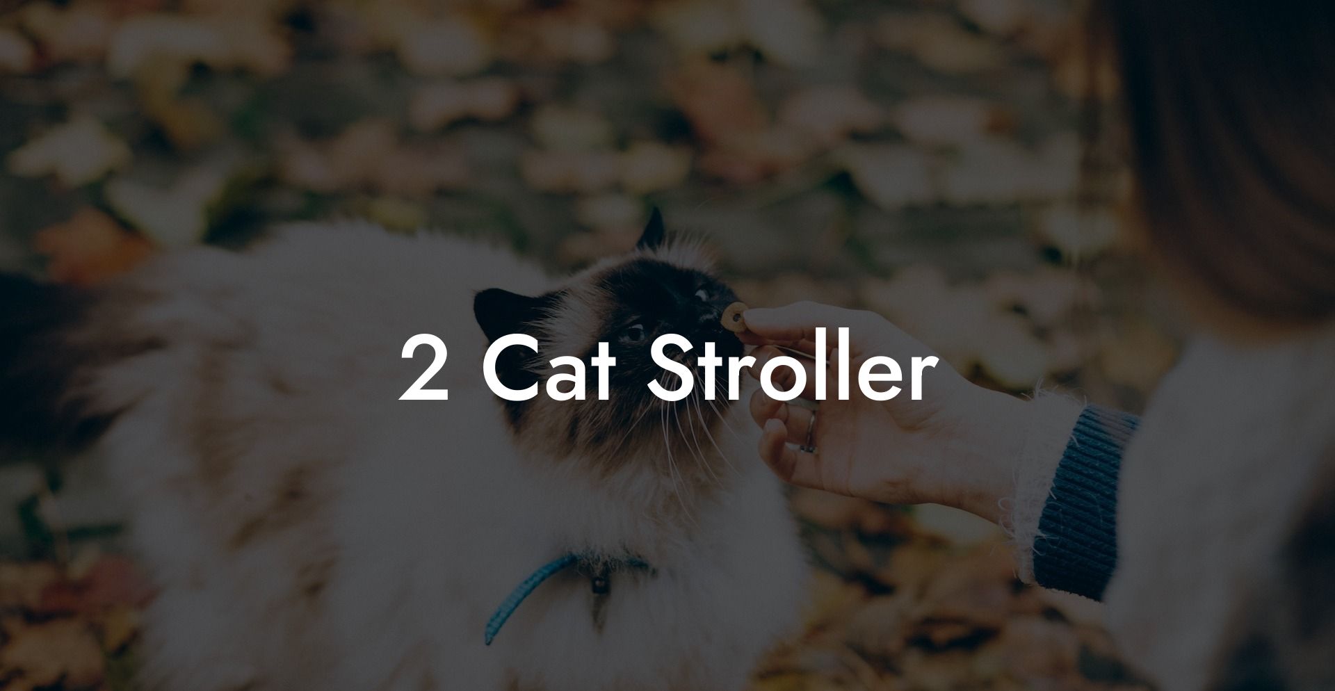 2 Cat Stroller