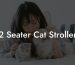 2 Seater Cat Stroller