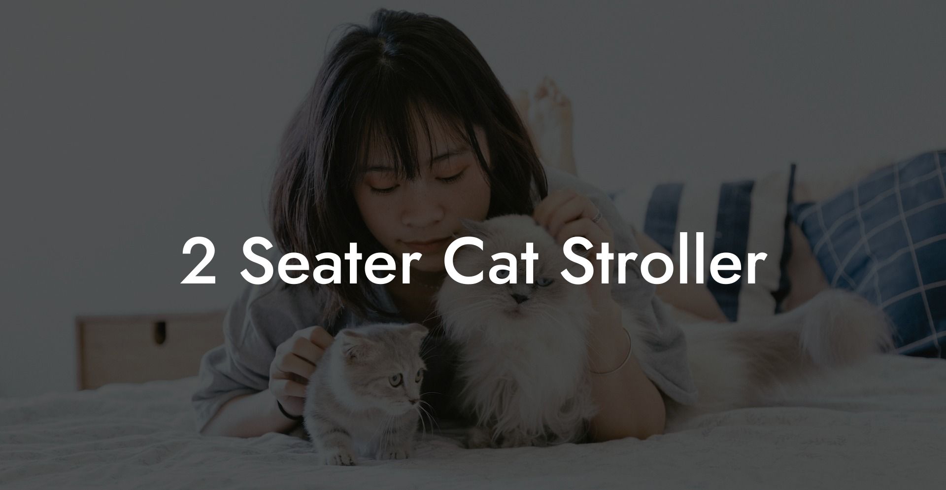 2 Seater Cat Stroller