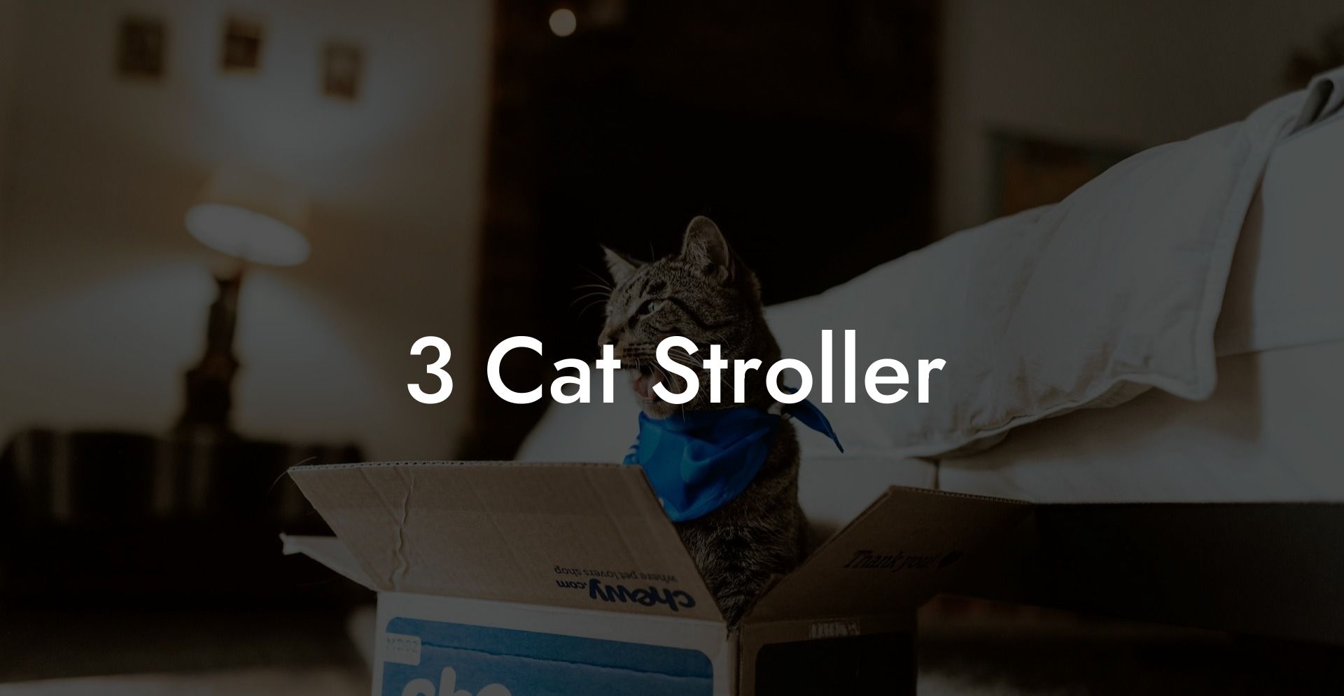 3 Cat Stroller