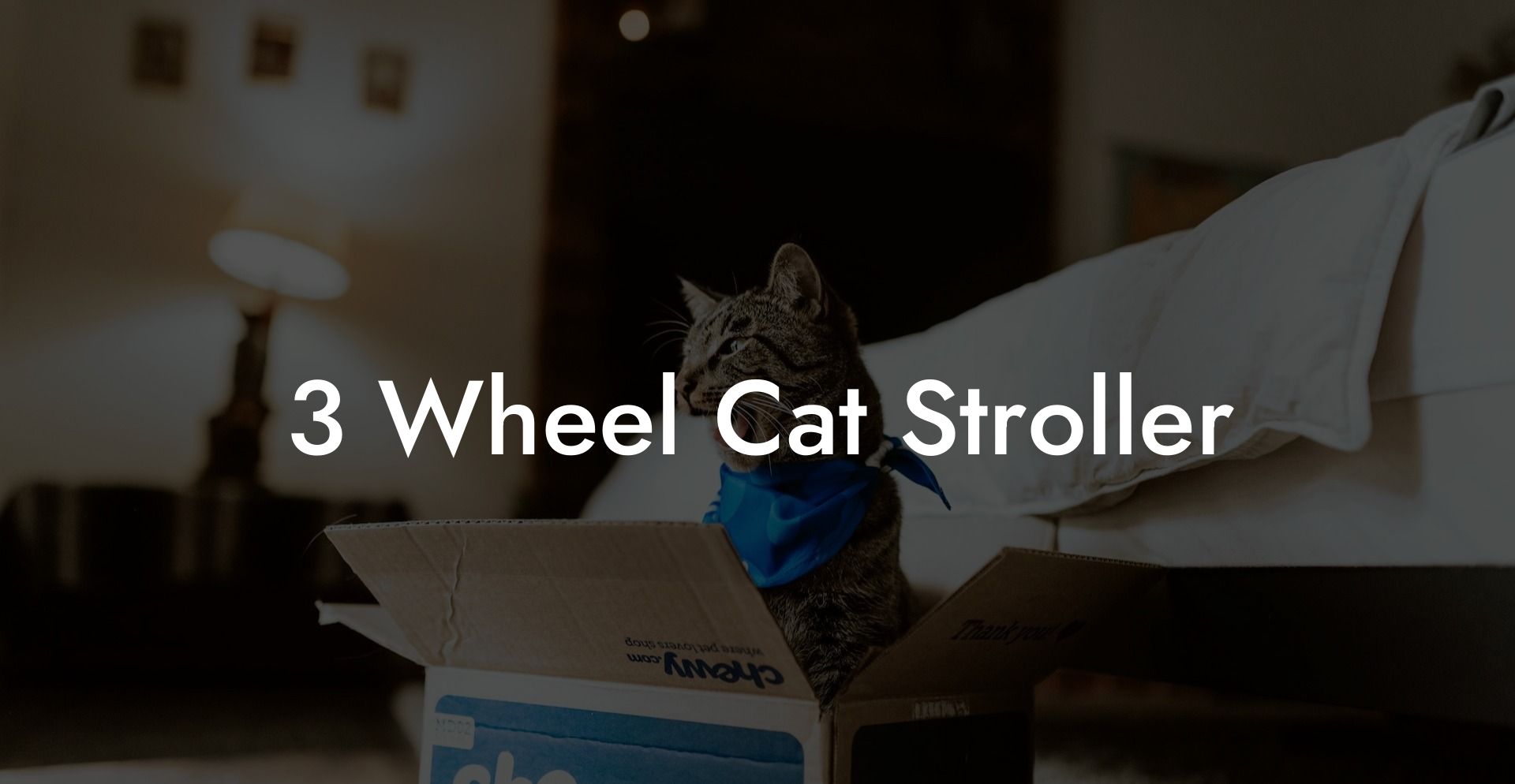 3 Wheel Cat Stroller