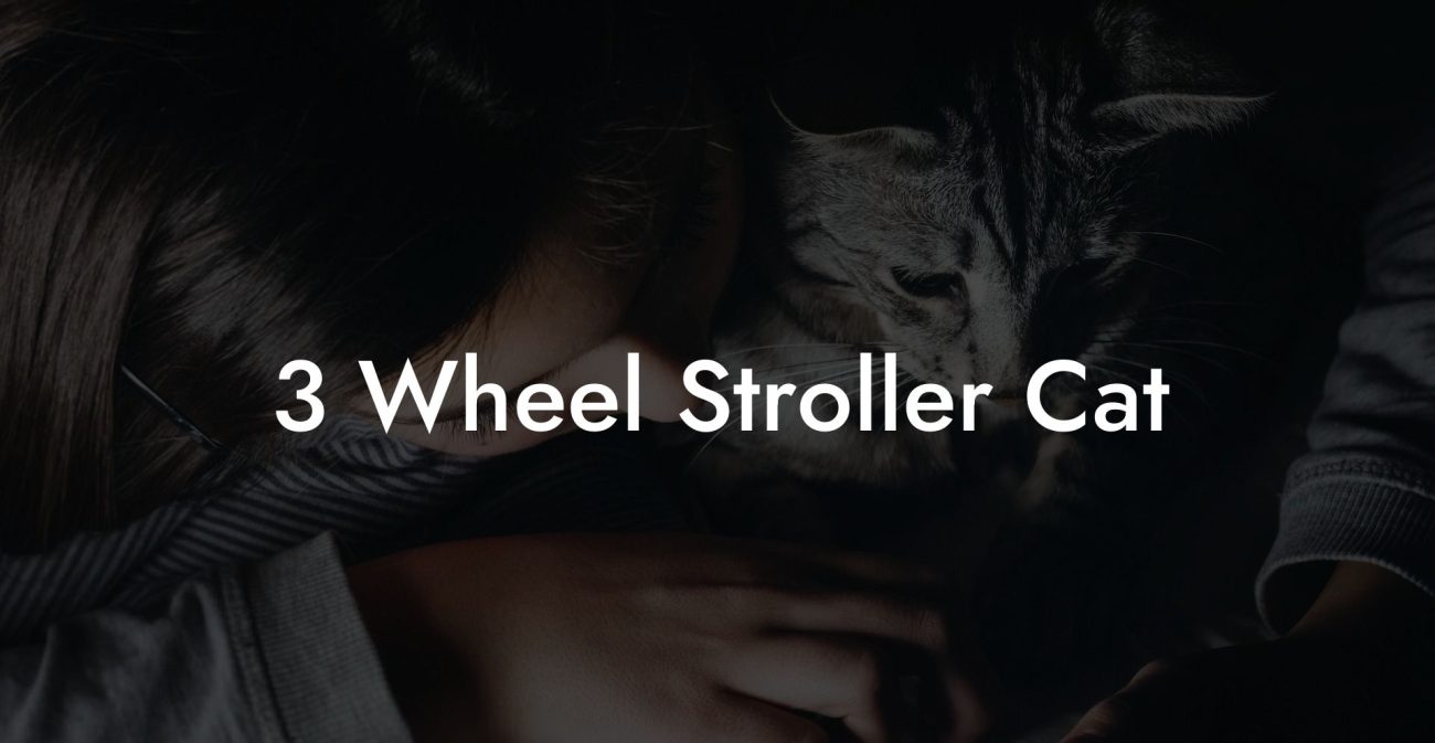 3 Wheel Stroller Cat
