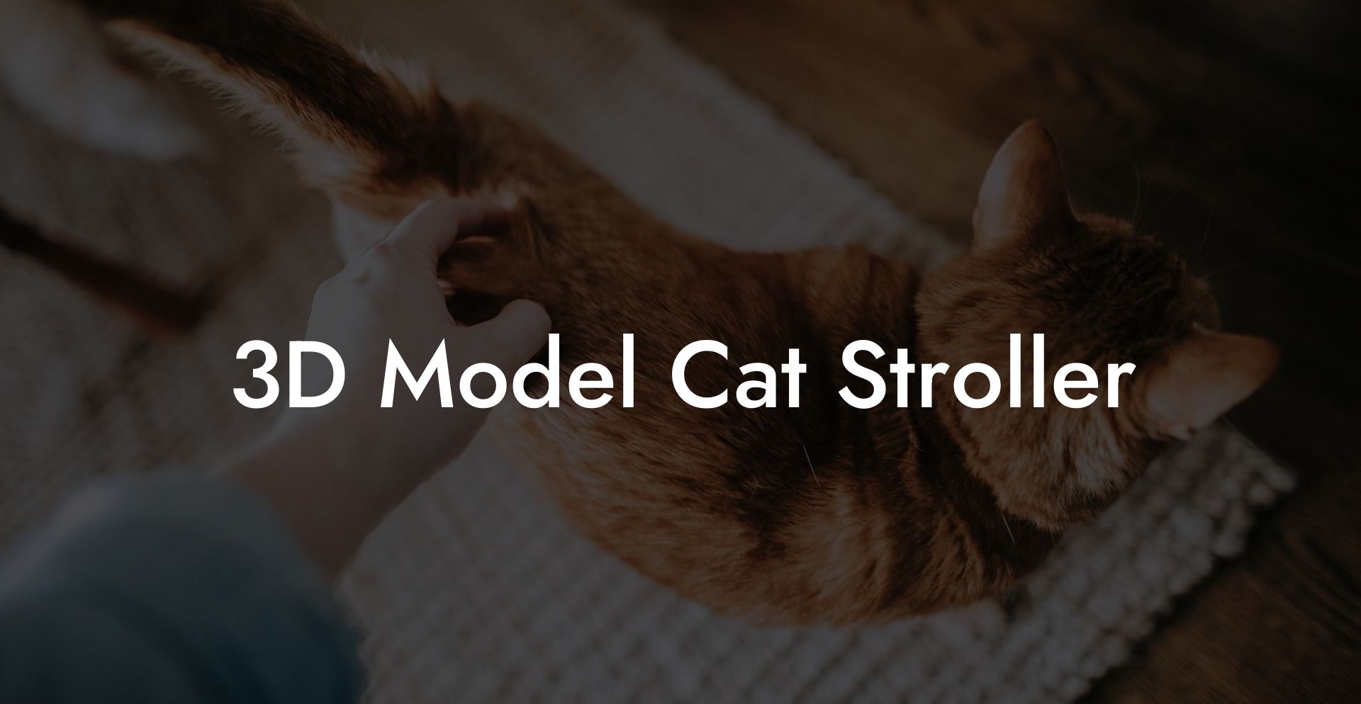 3D Model Cat Stroller
