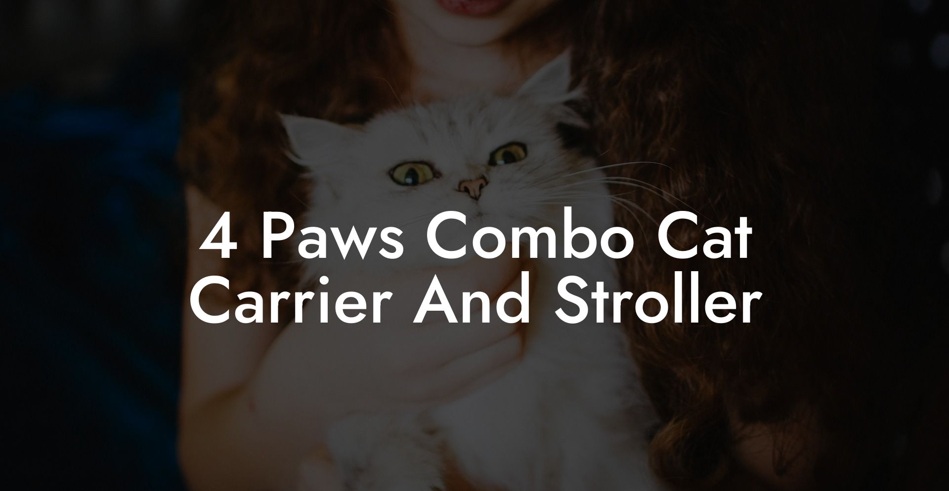 4 Paws Combo Cat Carrier And Stroller