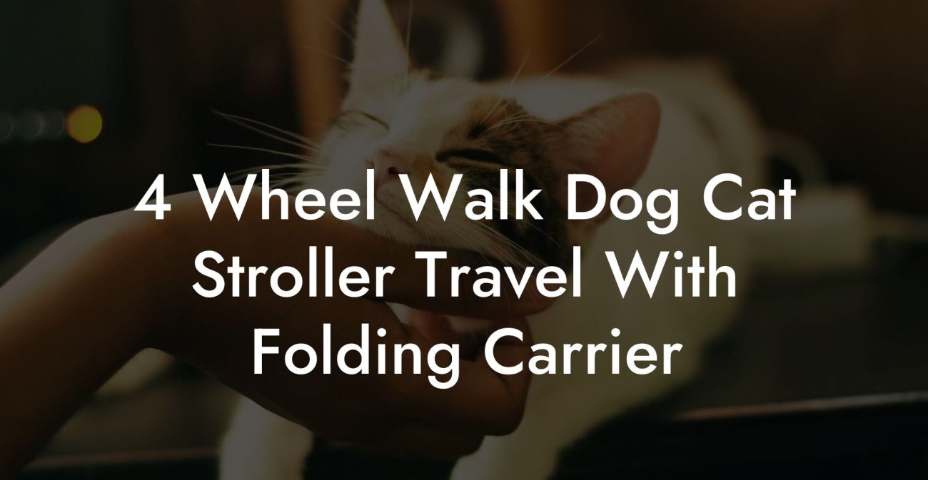 4 Wheel Walk Dog Cat Stroller Travel With Folding Carrier