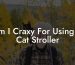 Am I Craxy For Using A Cat Stroller