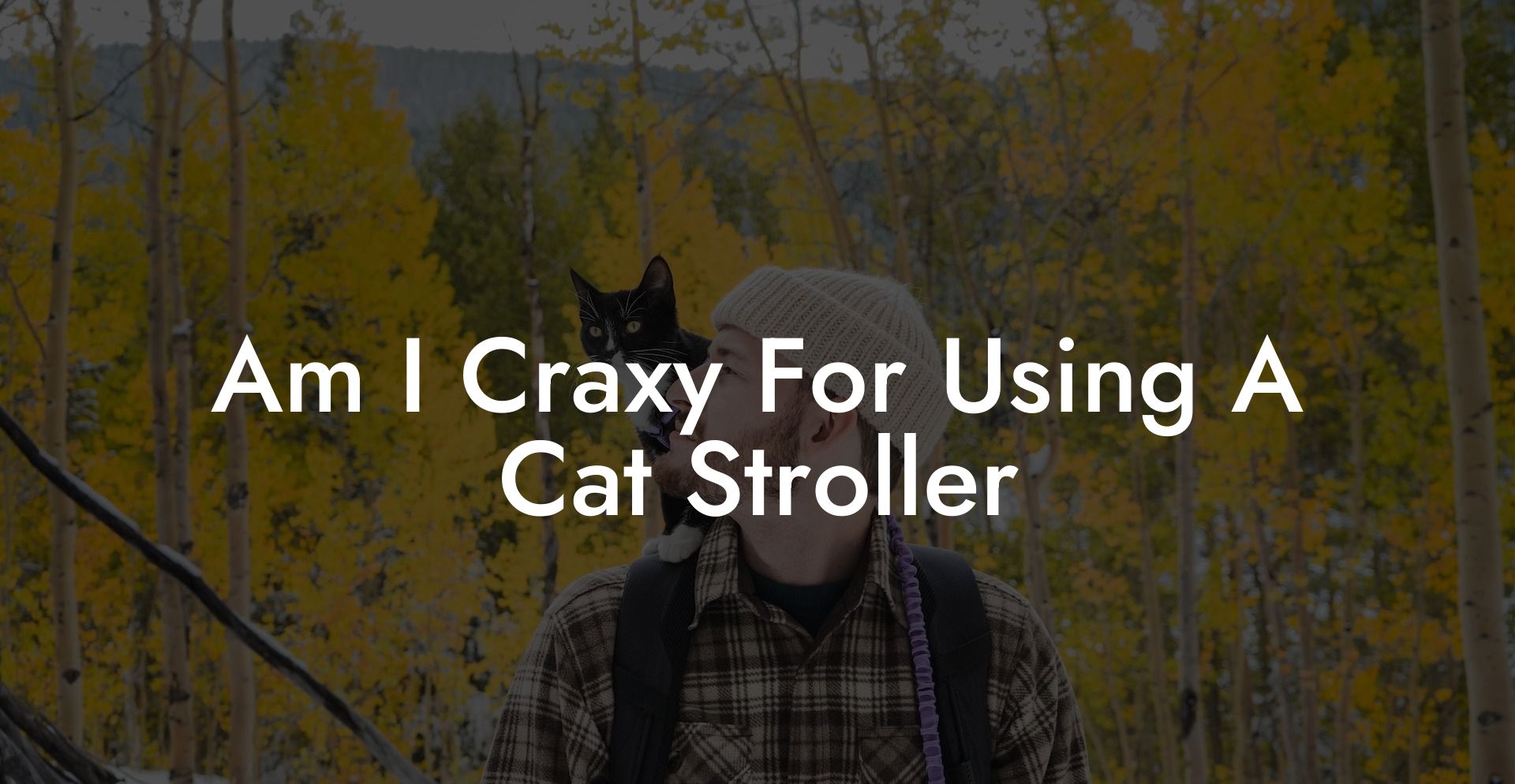 Am I Craxy For Using A Cat Stroller