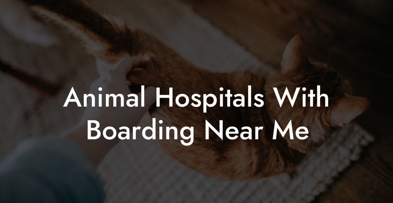 Animal Hospitals With Boarding Near Me