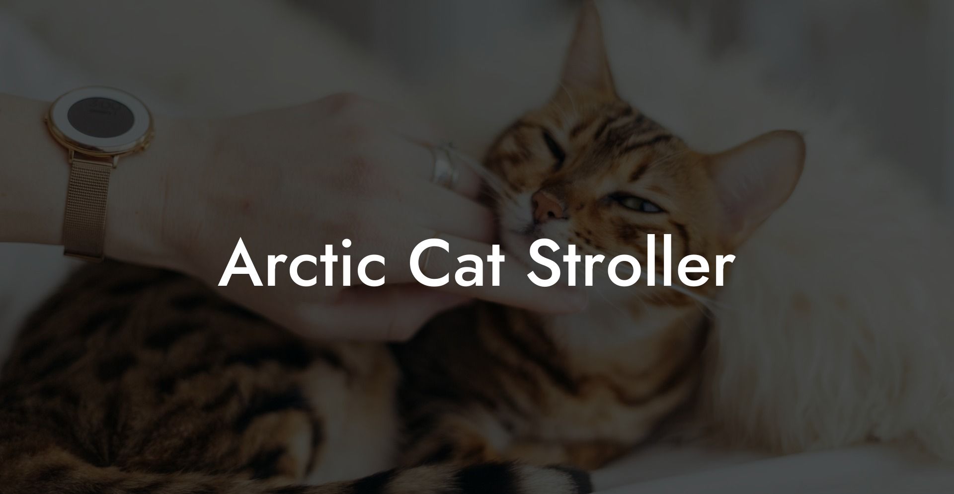 Arctic Cat Stroller