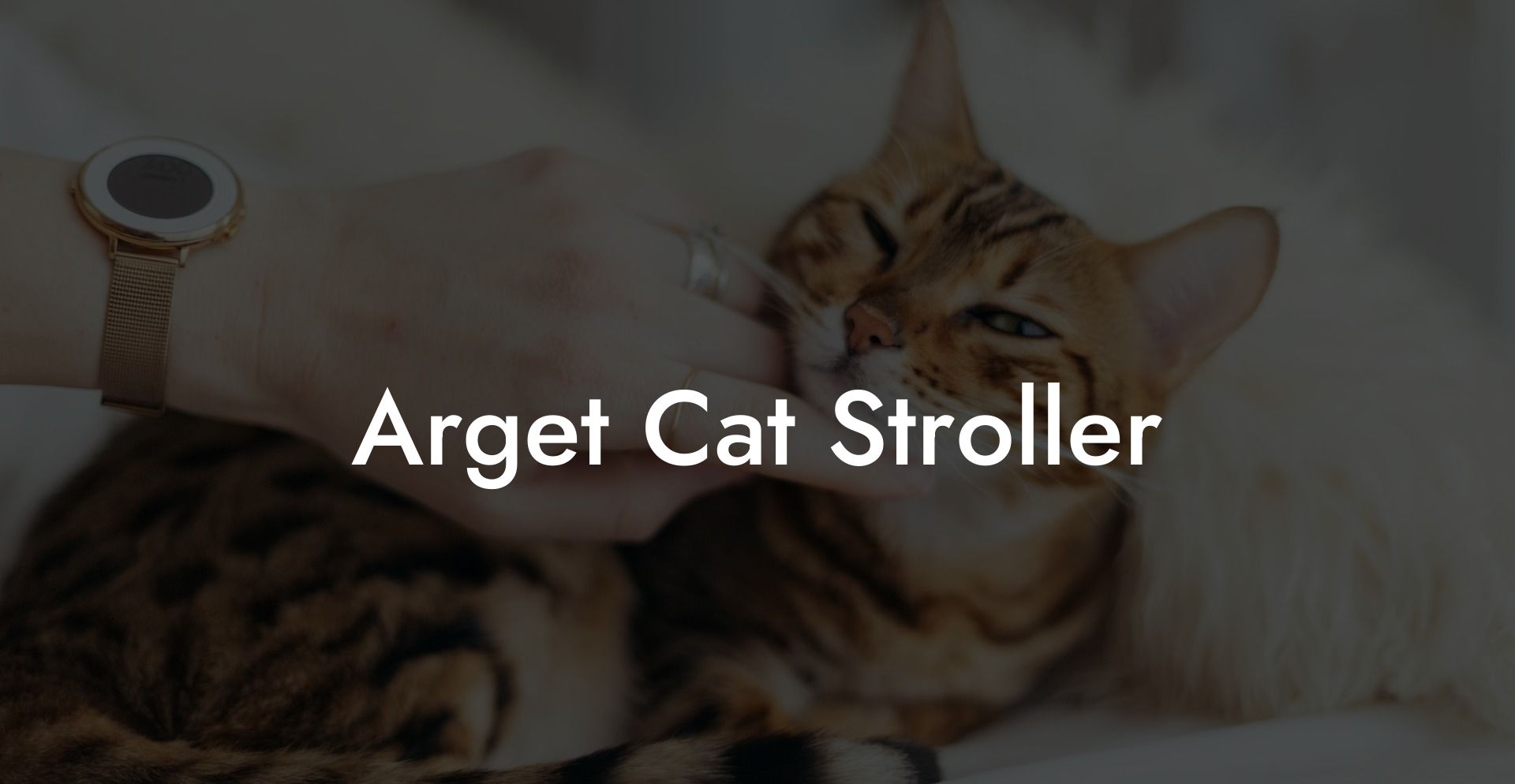 Arget Cat Stroller