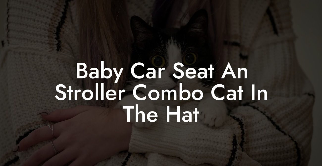 Baby Car Seat An Stroller Combo Cat In The Hat