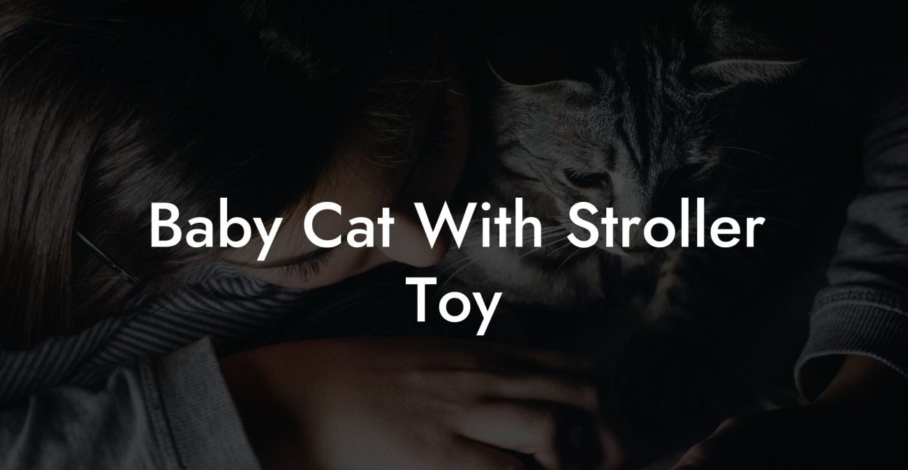 Baby Cat With Stroller Toy