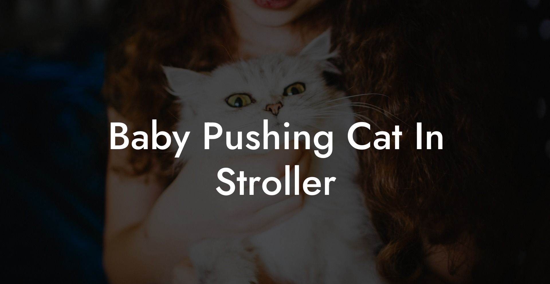 Baby Pushing Cat In Stroller