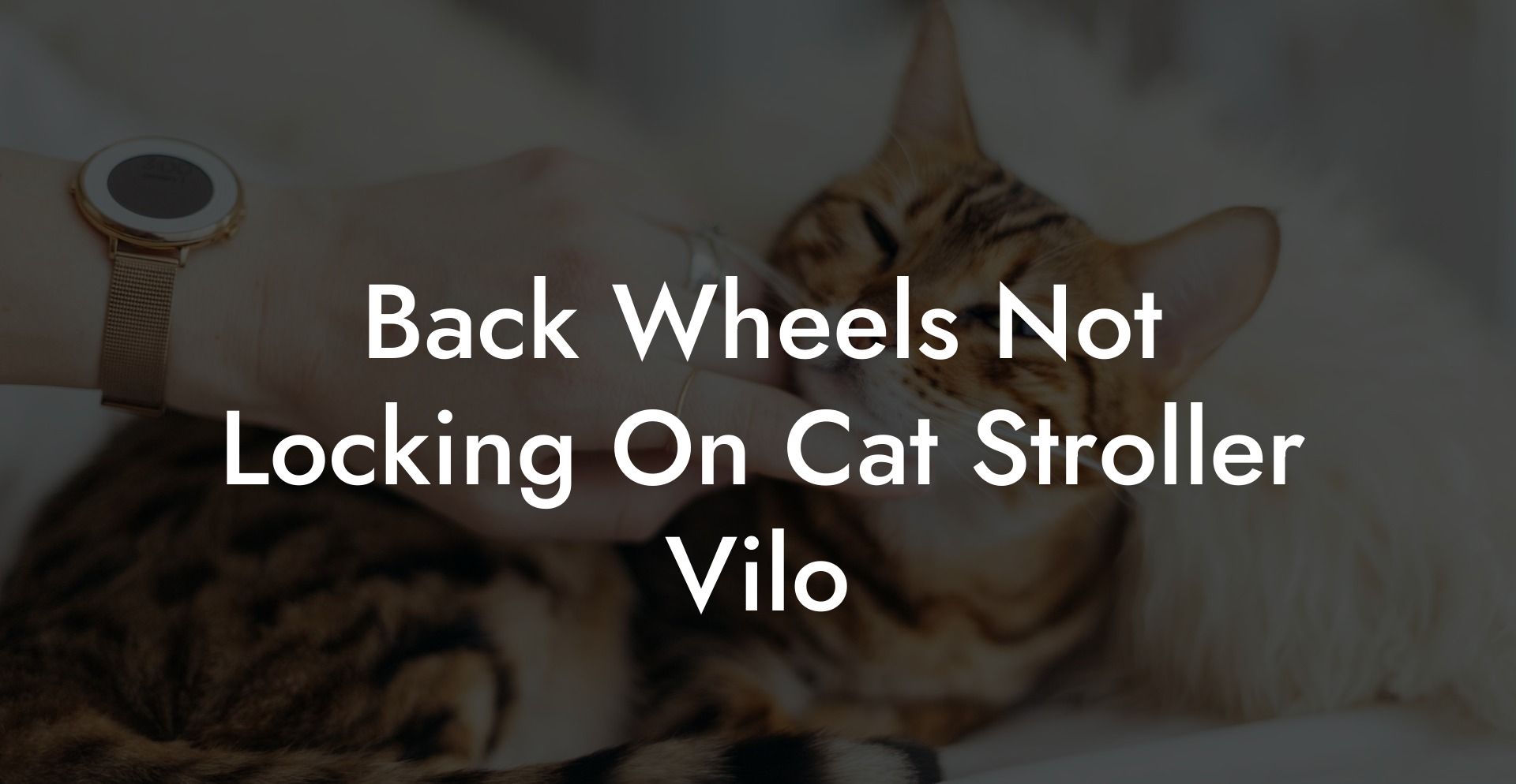Back Wheels Not Locking On Cat Stroller Vilo