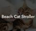 Beach Cat Stroller