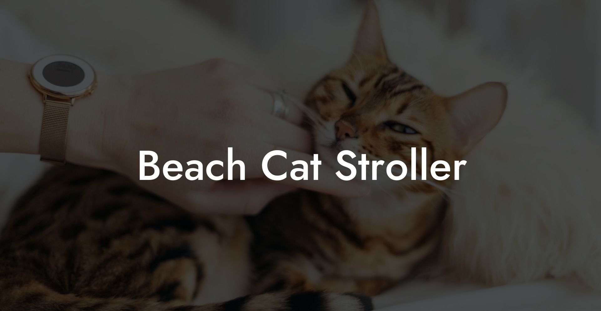 Beach Cat Stroller