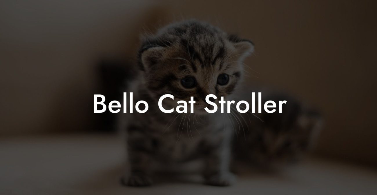 Bello Cat Stroller