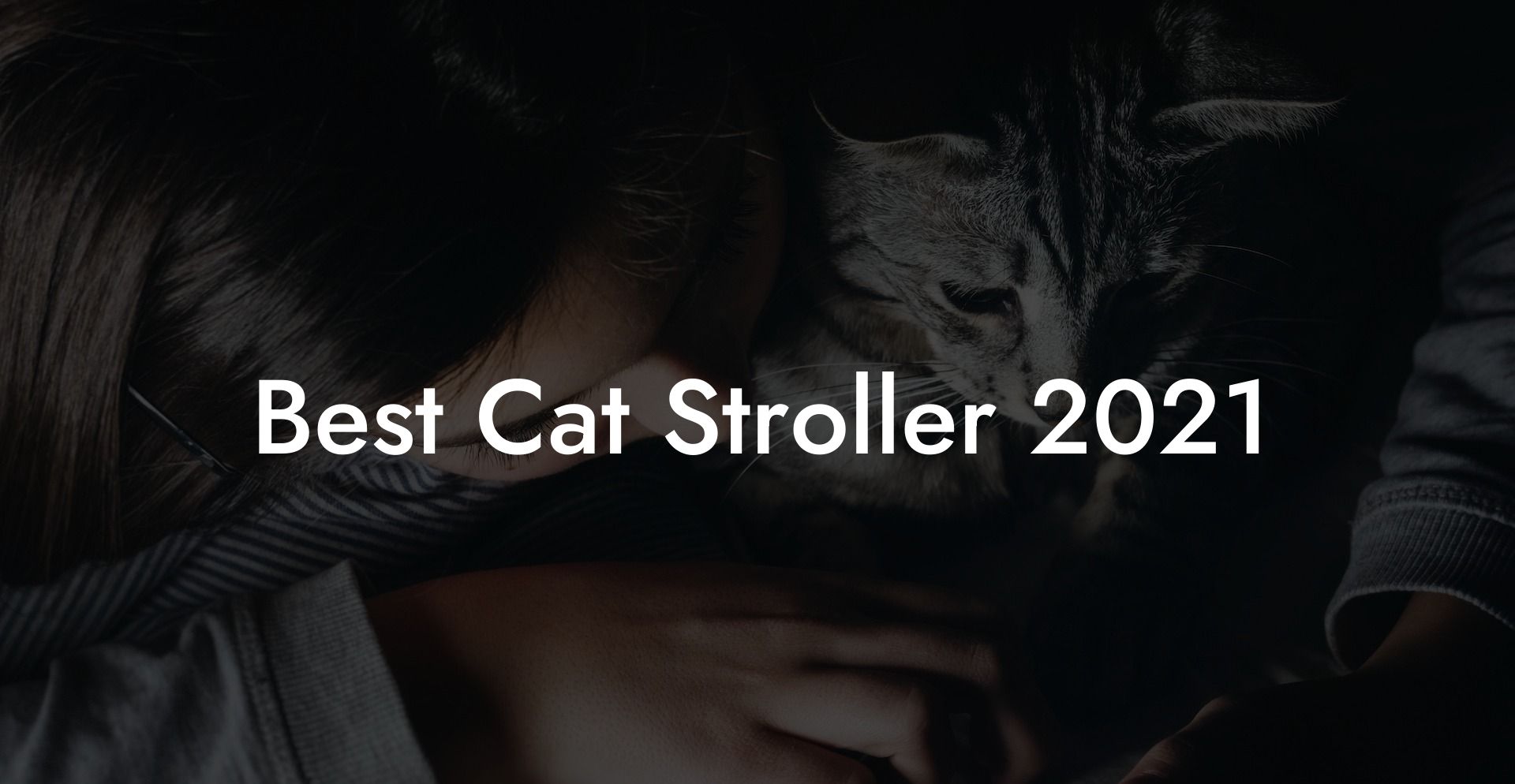 Best Cat Stroller 2021
