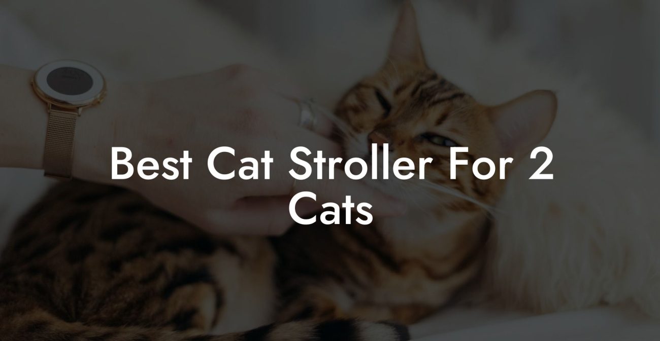 Best Cat Stroller For 2 Cats