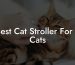 Best Cat Stroller For 2 Cats