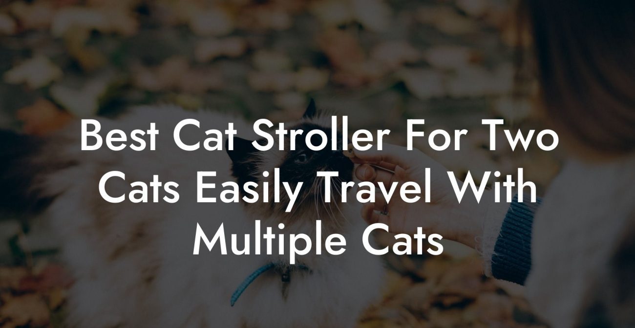 Best Cat Stroller For Two Cats Easily Travel With Multiple Cats