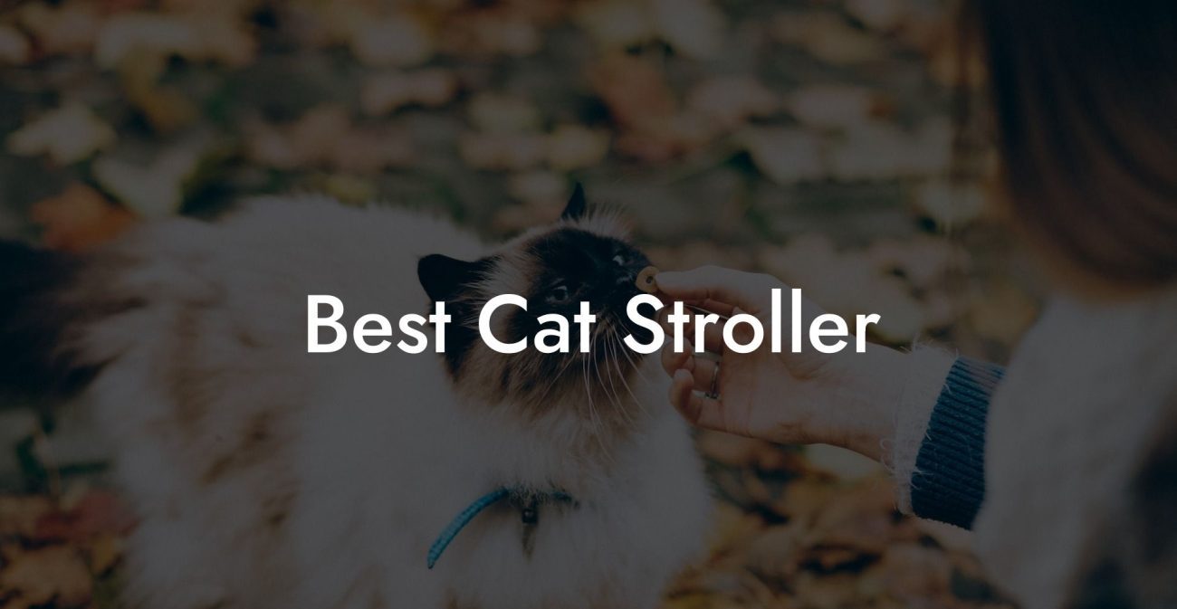 Best Cat Stroller