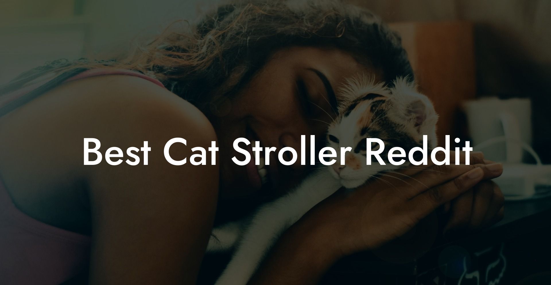 Best Cat Stroller Reddit