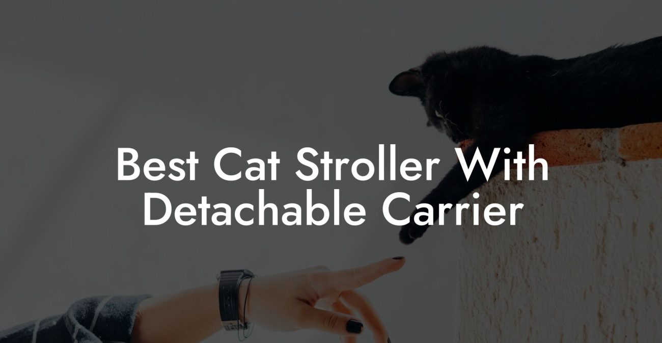 Best Cat Stroller With Detachable Carrier