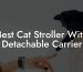 Best Cat Stroller With Detachable Carrier