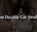 Best Double Cat Stroller