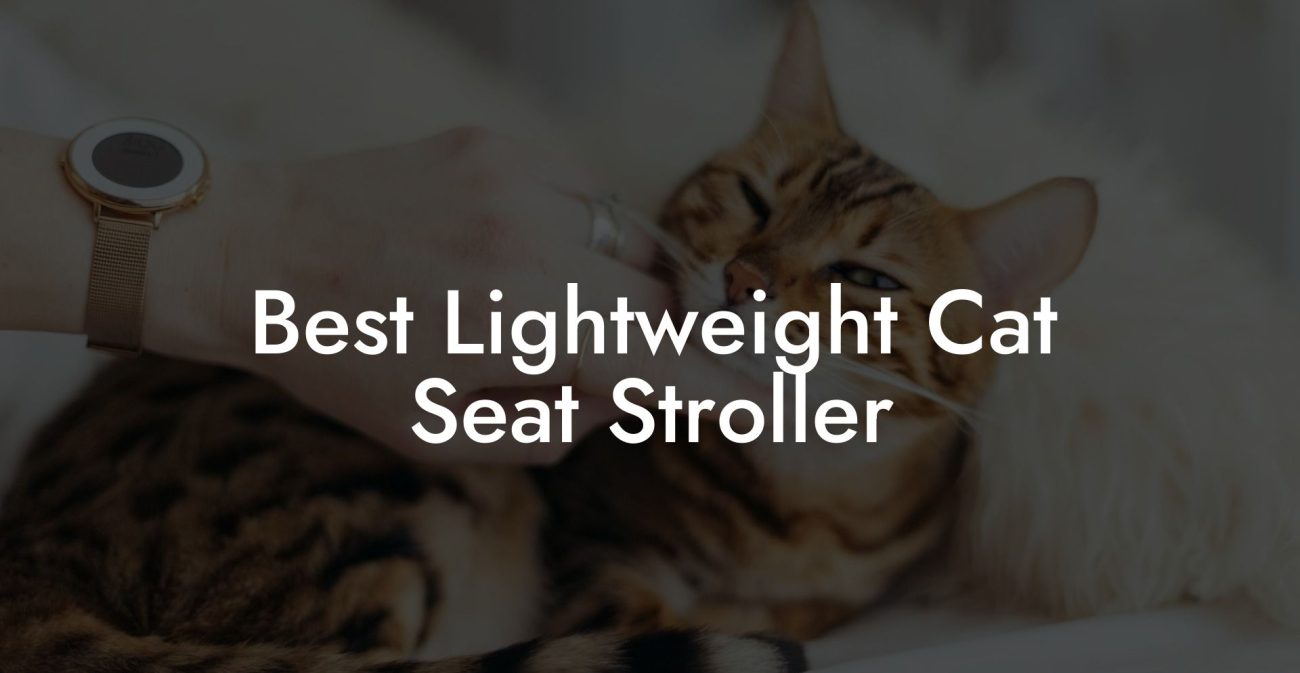 Best Lightweight Cat Seat Stroller