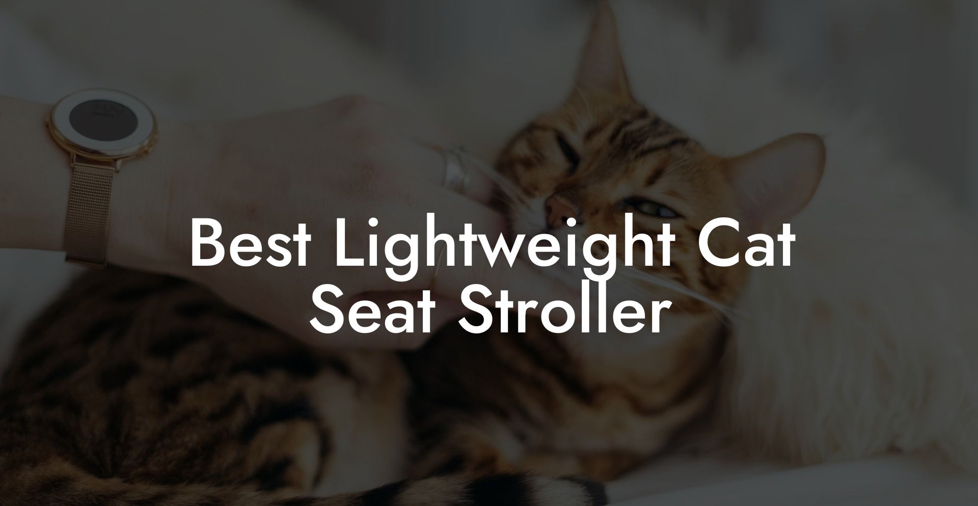 Best Lightweight Cat Seat Stroller