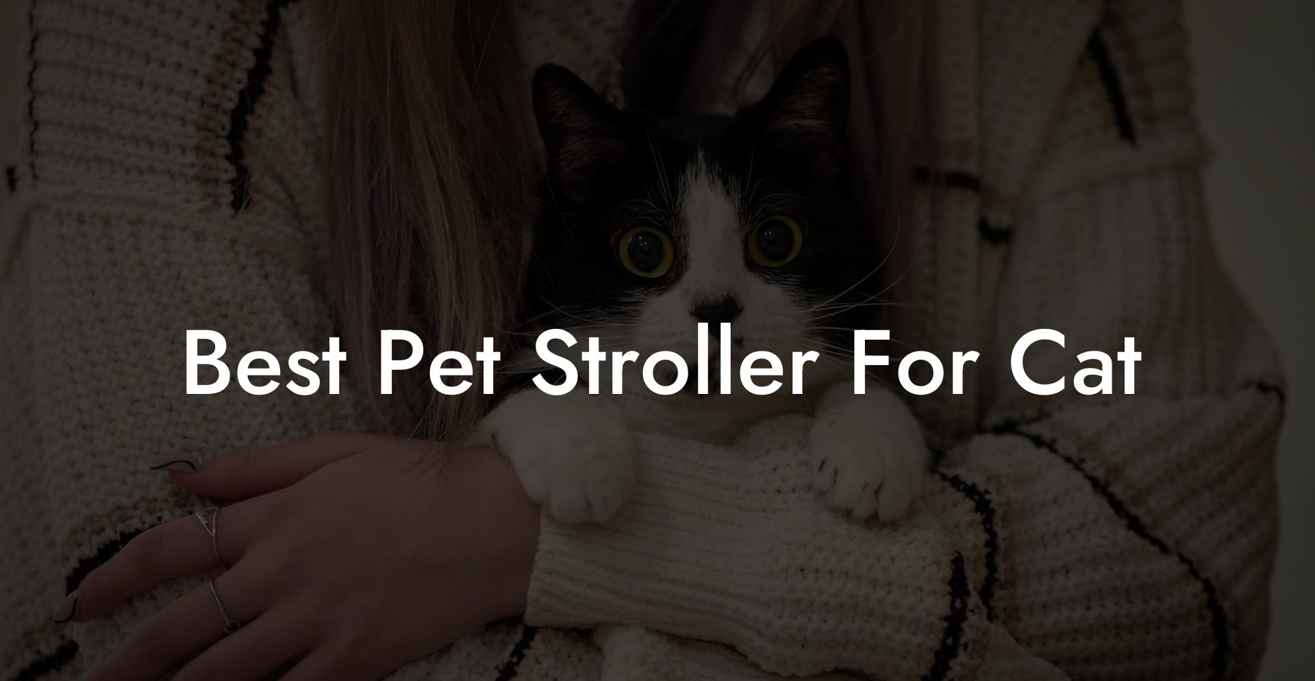 Best Pet Stroller For Cat