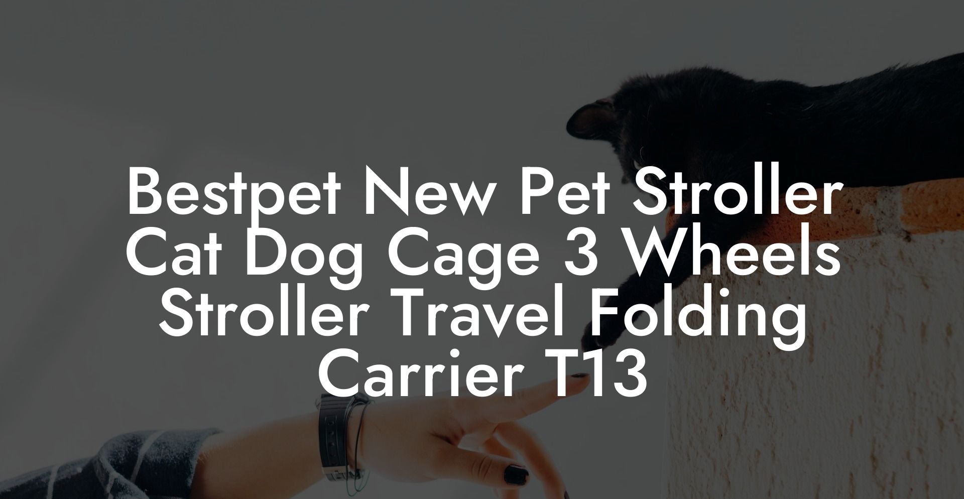 Bestpet New Pet Stroller Cat Dog Cage 3 Wheels Stroller Travel Folding Carrier T13