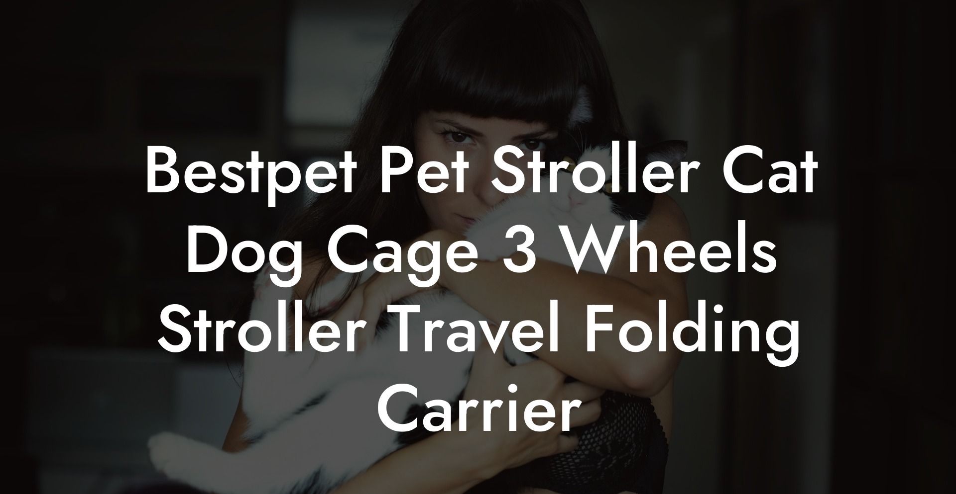 Bestpet Pet Stroller Cat Dog Cage 3 Wheels Stroller Travel Folding Carrier