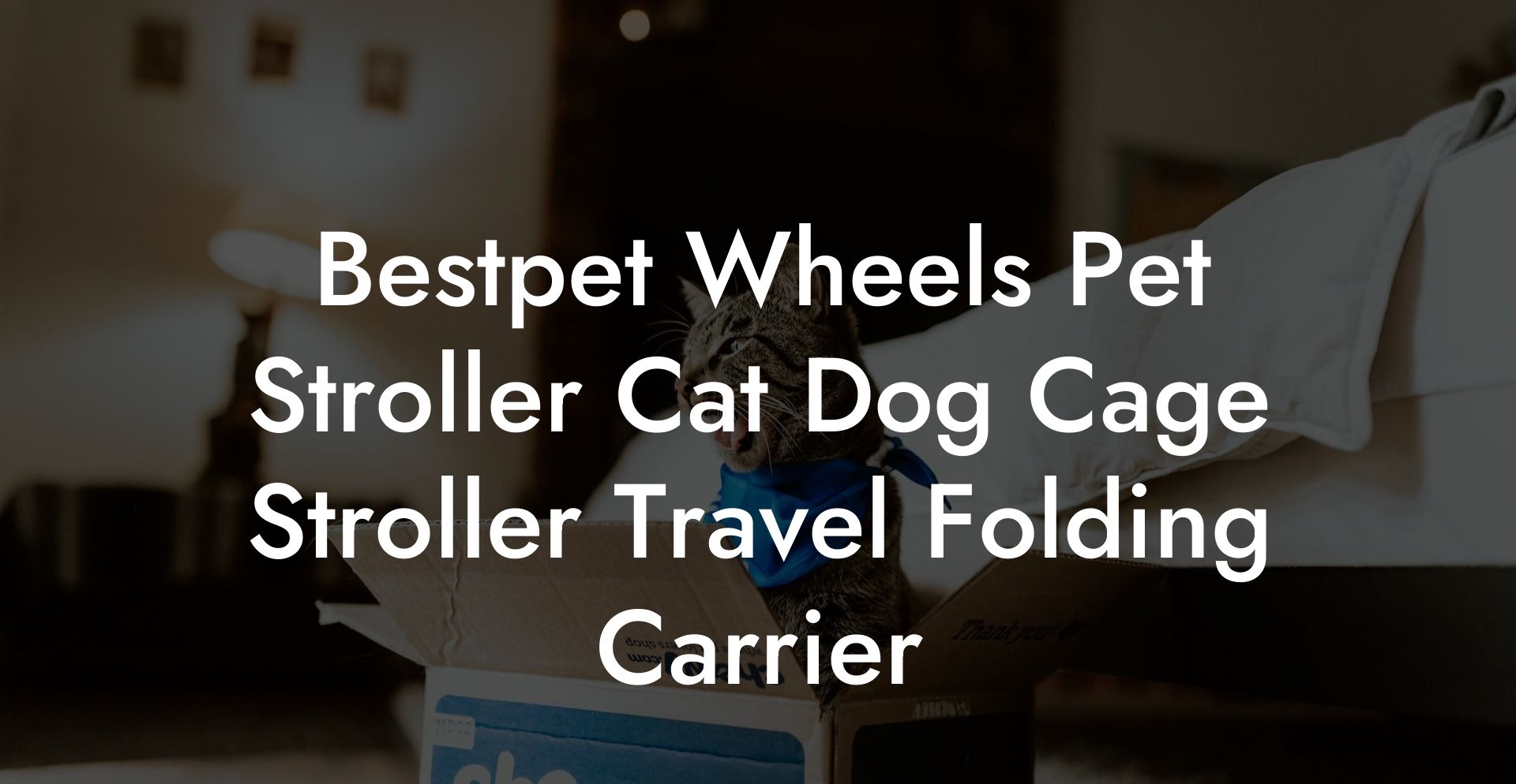 Bestpet Wheels Pet Stroller Cat Dog Cage Stroller Travel Folding Carrier