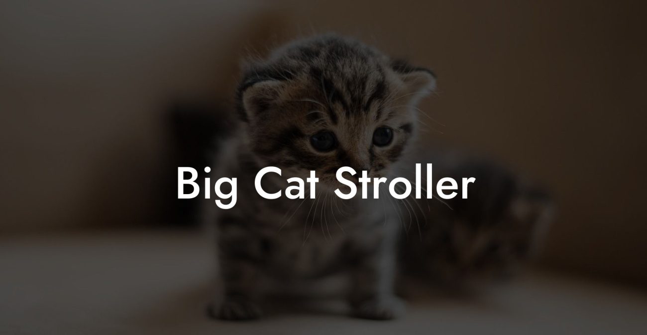 Big Cat Stroller