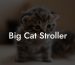 Big Cat Stroller