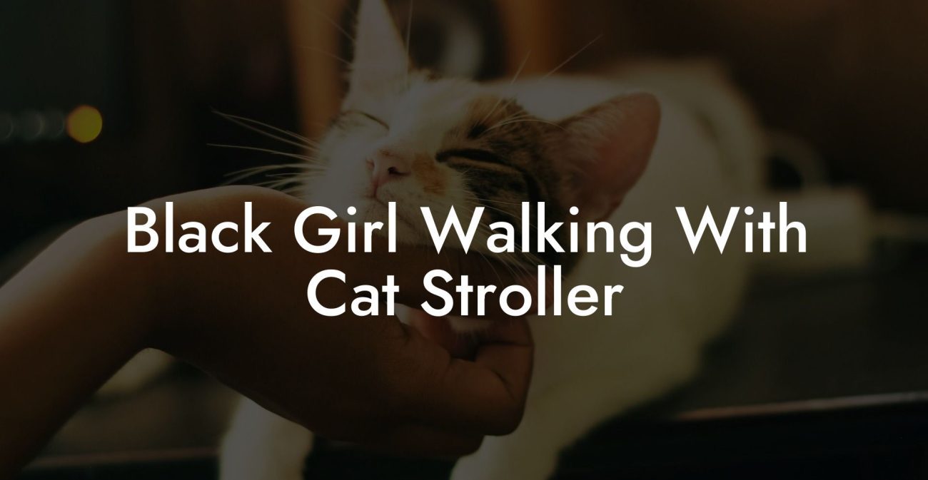 Black Girl Walking With Cat Stroller