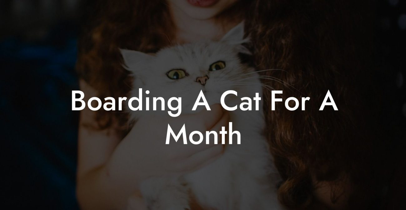 Boarding A Cat For A Month
