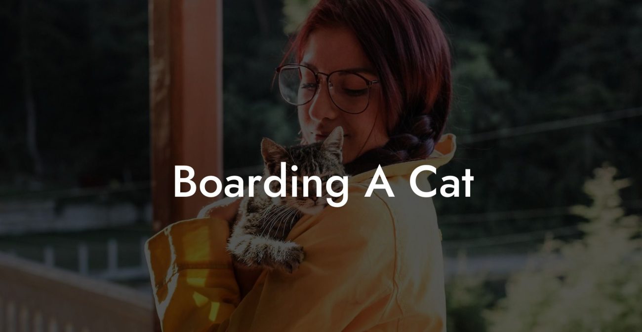 Boarding A Cat