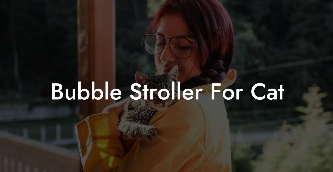 Bubble Stroller For Cat