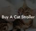 Buy A Cat Stroller