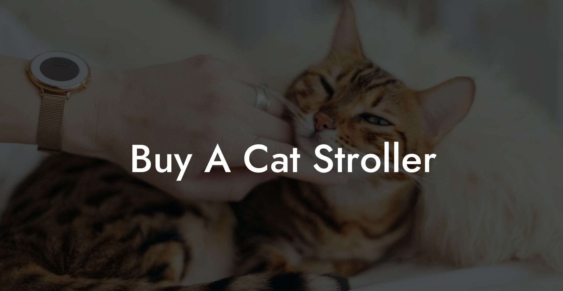 Buy A Cat Stroller