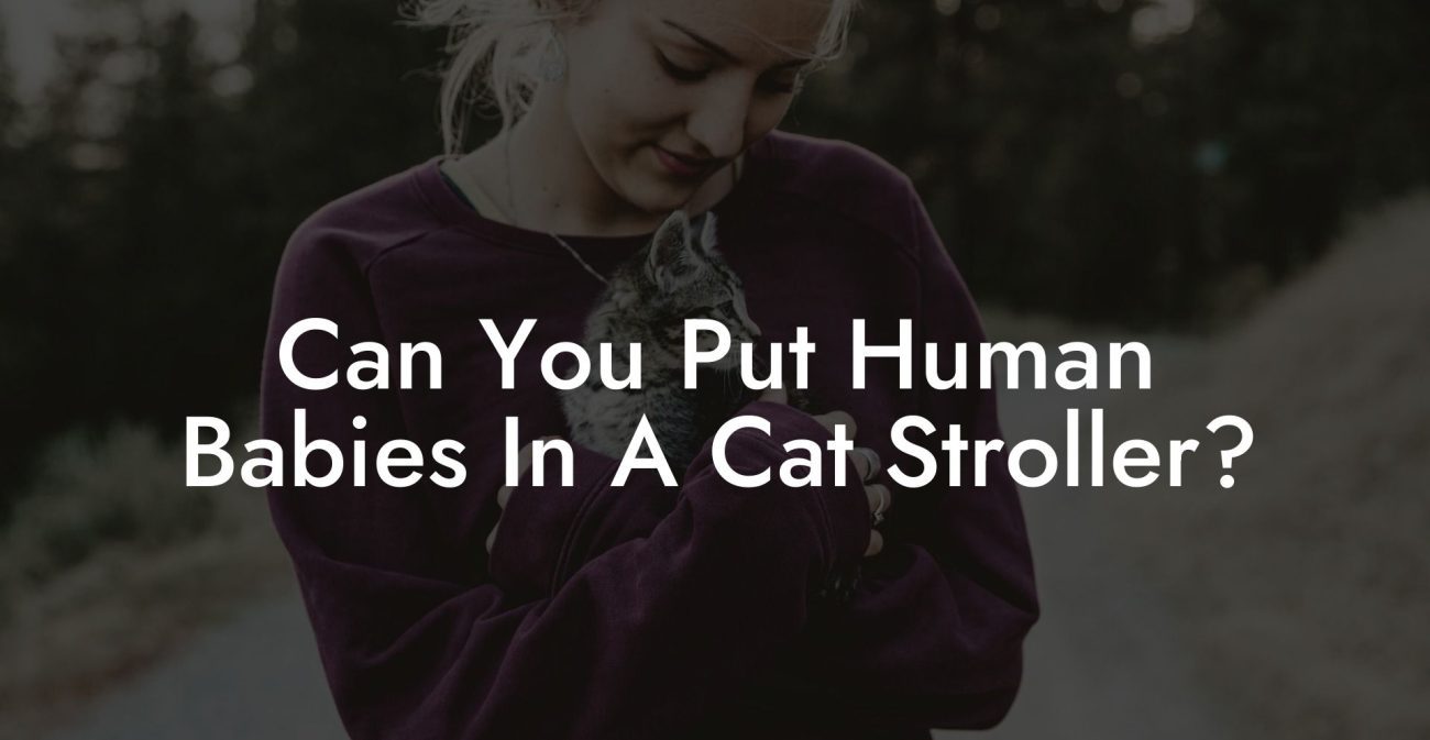 Can You Put Human Babies In A Cat Stroller?