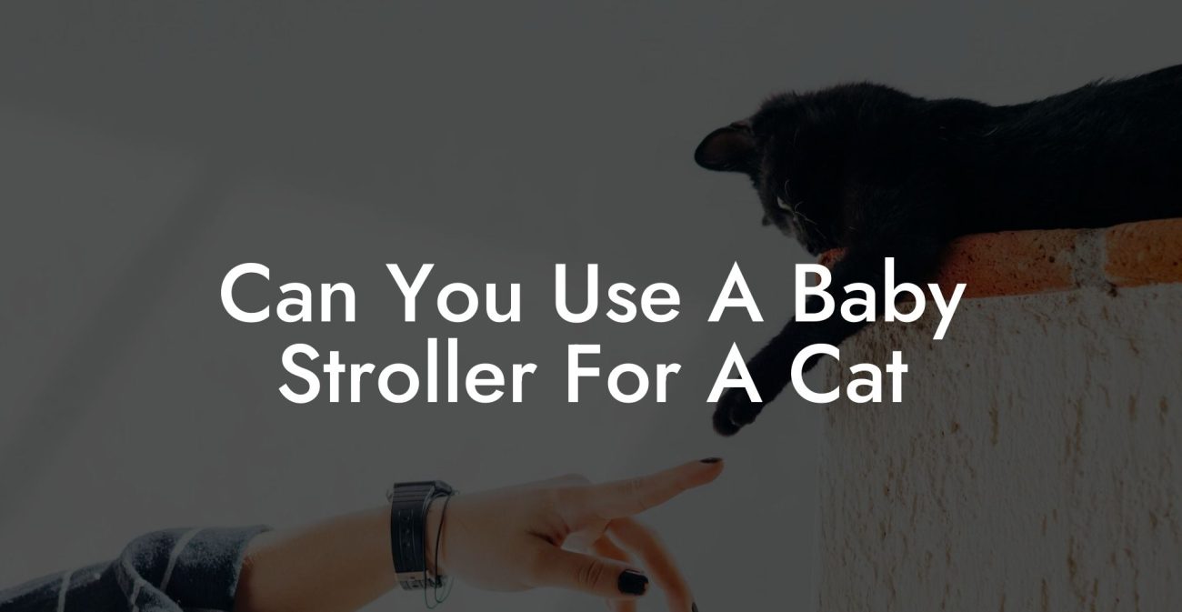 Can You Use A Baby Stroller For A Cat