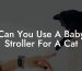 Can You Use A Baby Stroller For A Cat