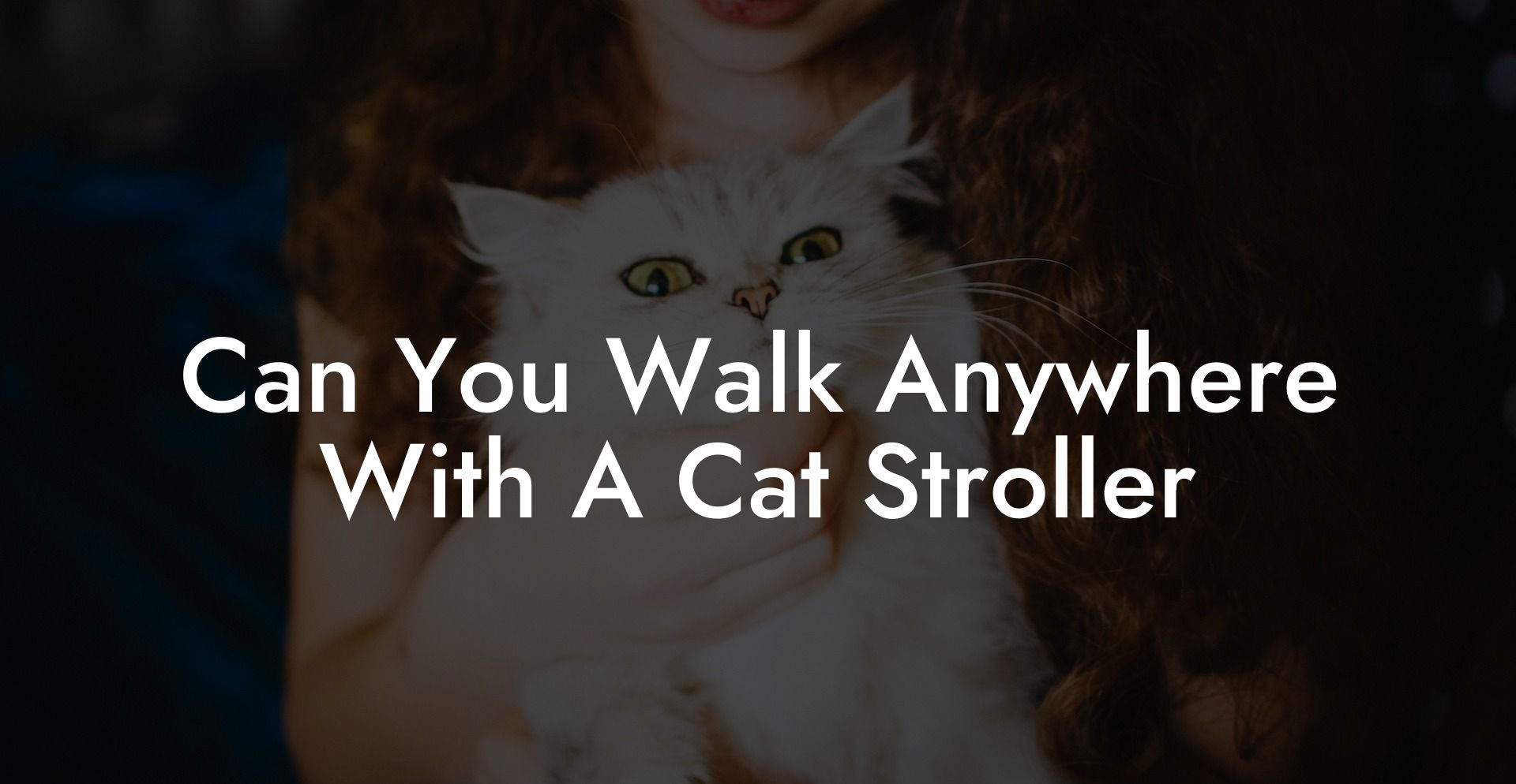 Can You Walk Anywhere With A Cat Stroller