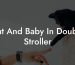Cat And Baby In Double Stroller